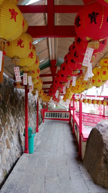A pathway leading from one building to another.