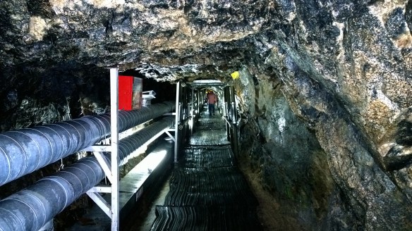 Inside the tunnel under the DMZ.  I'm 6'1" tall, and the tunnel is only about 5' 8" tall, so I had to walk hunched over the whole time.