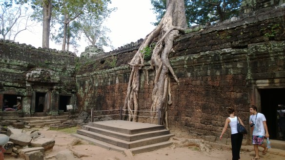 Ta Phrom temple with giant tree roots growing in and over the temple walls