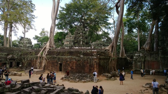 Ta Phrom temple with more tree roots growing over and through the walls