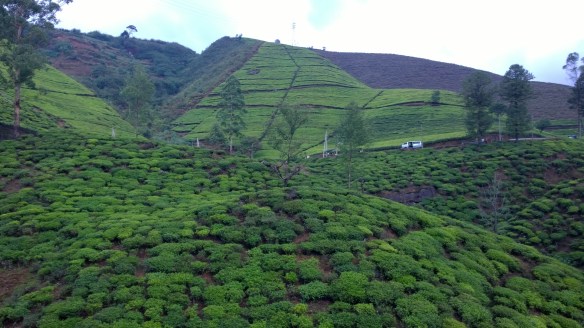 WP_20140406_16_52_18_Pro