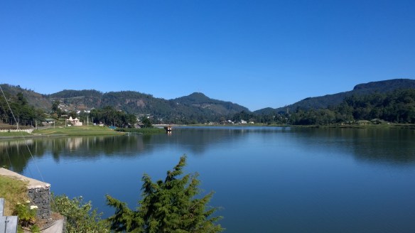 WP_20140407_08_44_37_Pro