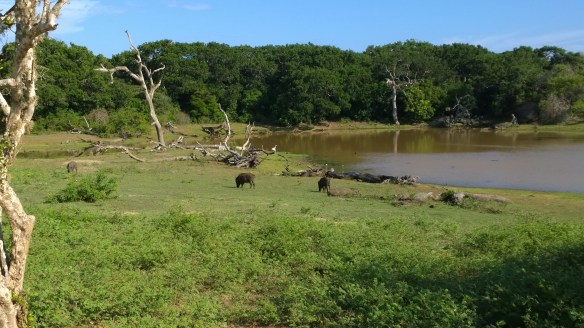 WP_20140407_16_03_26_Pro