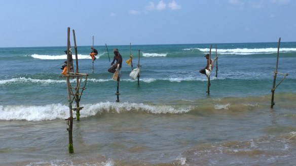 WP_20140410_10_28_36_Pro