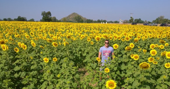 See if you can find me in the sunflowers