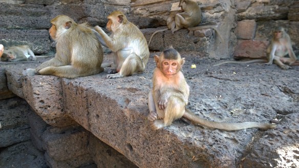 A face only a mother could love