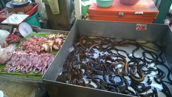 Eels on the right, frogs on the left.