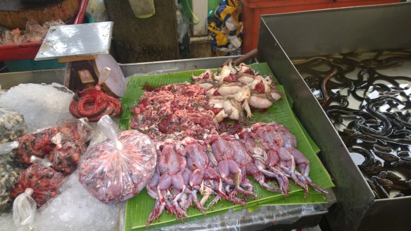 Frogs... freshly prepared.