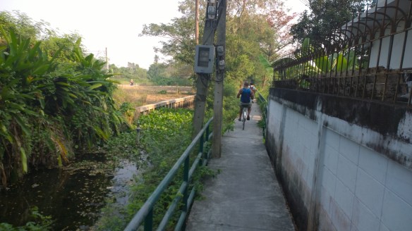 Heading along a path into the farming areas
