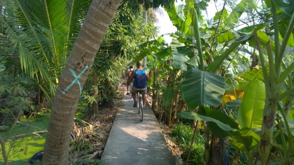Riding through coconut trees and banana plants